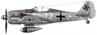 для пдф.9.JG-5.ERNST MAYER.FW-190A-3.WHITE-12.1945.jpg
