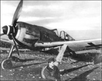 Fw 190F-8   13. JG в Северной Норвегии, осенью 1944 года..jpg