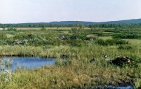 img010.jpg