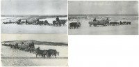 Bf 109 G-2 () W.Nr. unknown Gelbe 4, 9.JG 5, Murmashi region, the river Tuloma, Winter 1942-1943..jpg (123.04 КБ) 310533 просмотра Еще фотографии "желтой 4"
