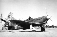 Як-1 старшего лейтенанта Е.В. Петренко (1918 — 1976) из 20-го ИАП ВВС СФ на аэродроме Ваенга-1. Лето 1942 года.