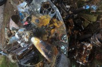 BmvUaZZMI1A.jpg (335.4 КБ) 14979 просмотров BmvUaZZMI1A.jpg