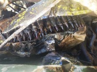 rPj3nSs11Jc.jpg (334.77 КБ) 14961 просмотр rPj3nSs11Jc.jpg