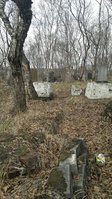 10388304_680048692031474_567531001_n.jpg (144.31 КБ) 83377 просмотров могилы в ряду 139,138, 137(?)...