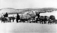 Фотография из статьи в &quot;Мурманском вестнике&quot;. Перевозка сбитых в районе Солозера 16 января 1944 г. двух «мессершмиттов» Bf-109G трофейной командой.